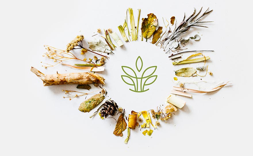 herbal medicine naturopathic service