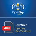 Level 1 Dan Tien