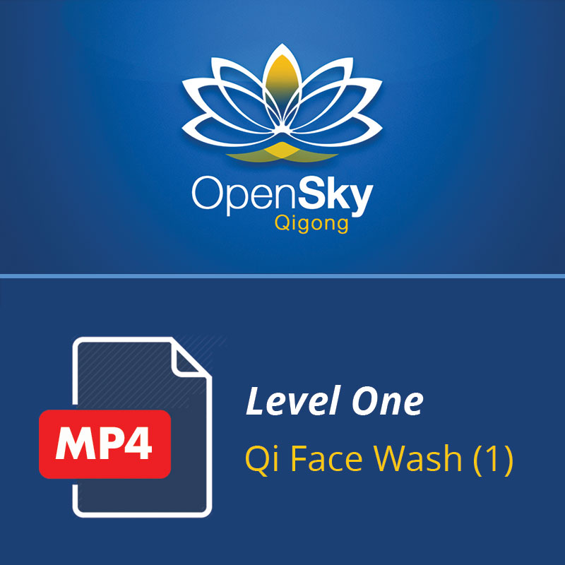 Level 1 Face Wash
