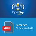 Level 2 Face Wash