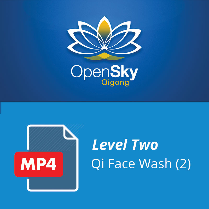 Level 2 Face Wash