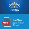 Level 2 Open Kidney