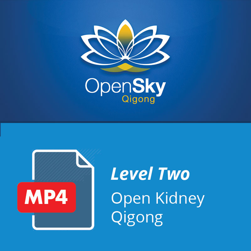 Level 2 Open Kidney