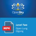 Level 2 Open Lung