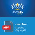 Level 2 Slapping Qigong