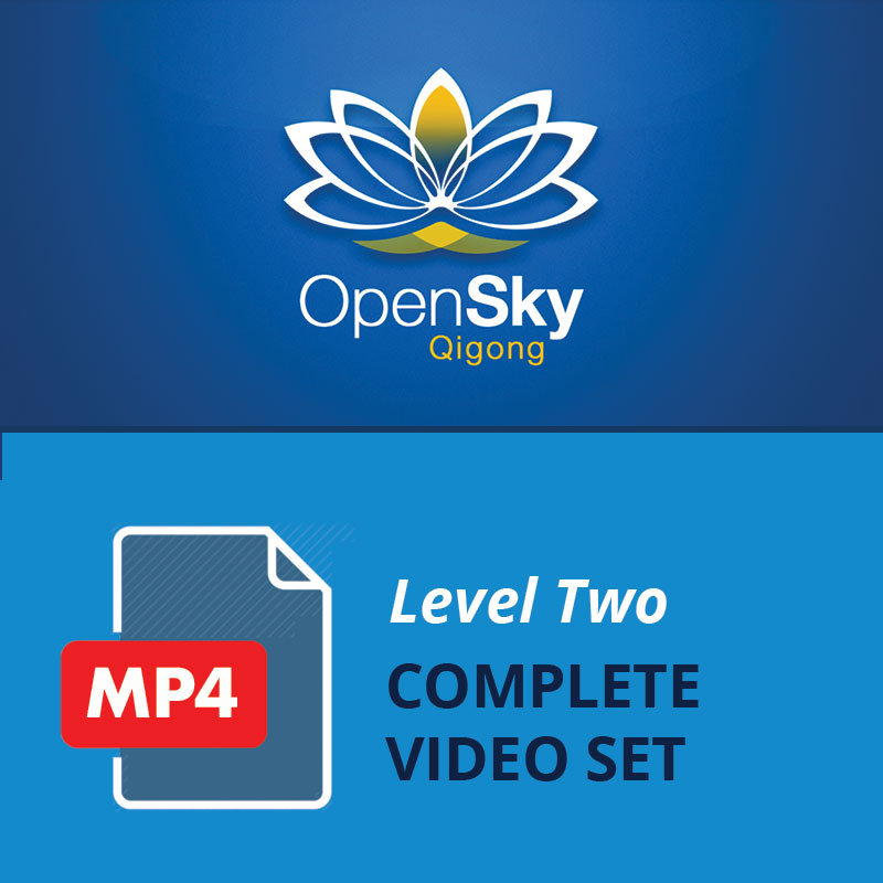 Level 2 Video Set