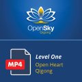 Level 1 Open Heart