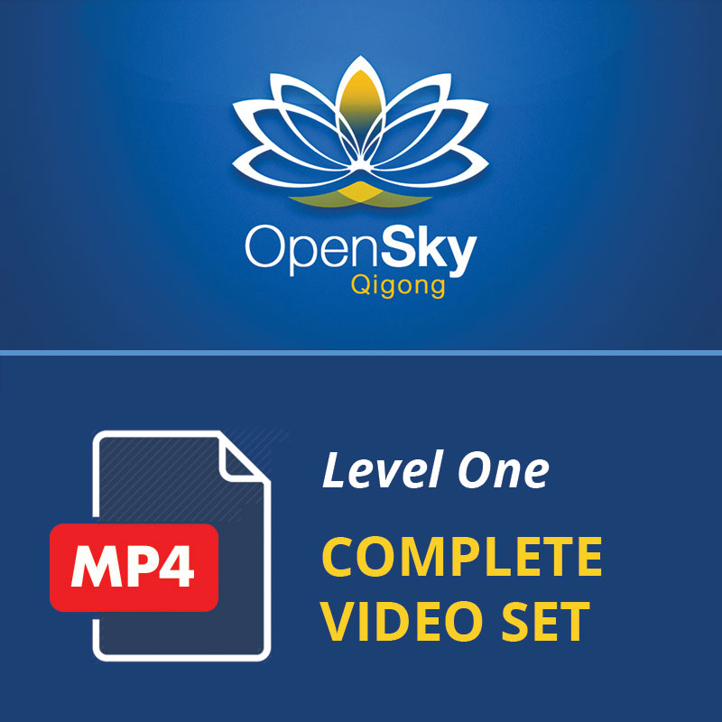 Level 1 Video Set