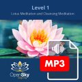 Qigong CD 2