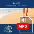 Qigong CD 3