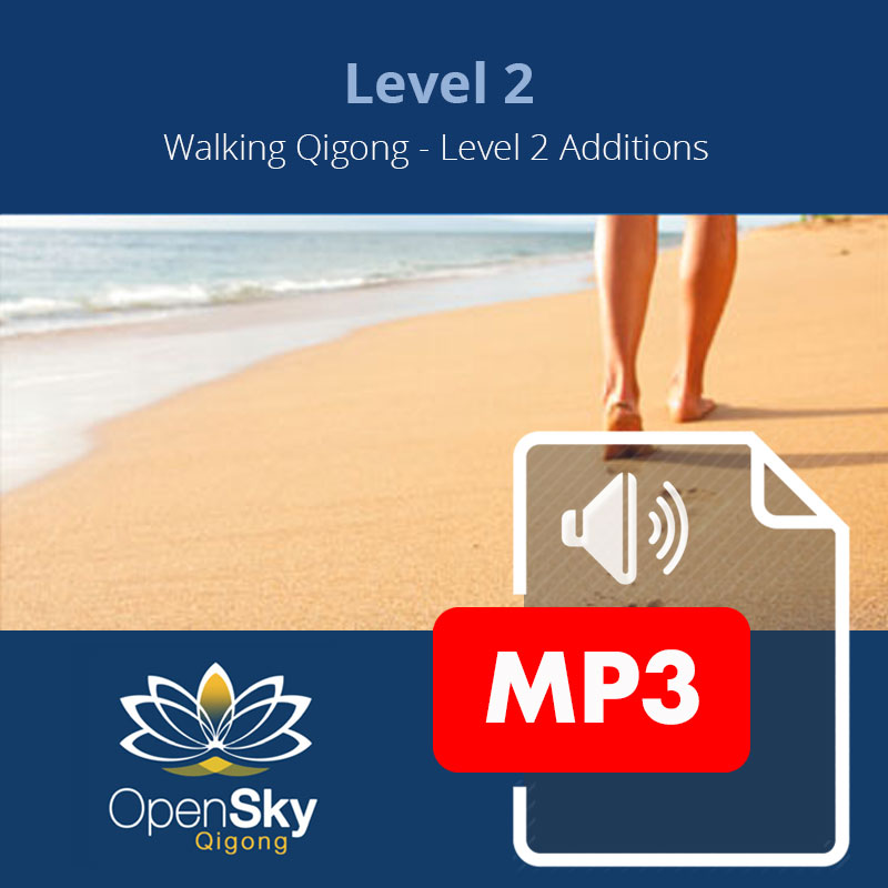 Qigong CD 3
