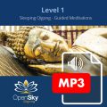 Qigong CD 5