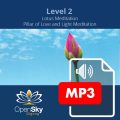 Qigong CD 4