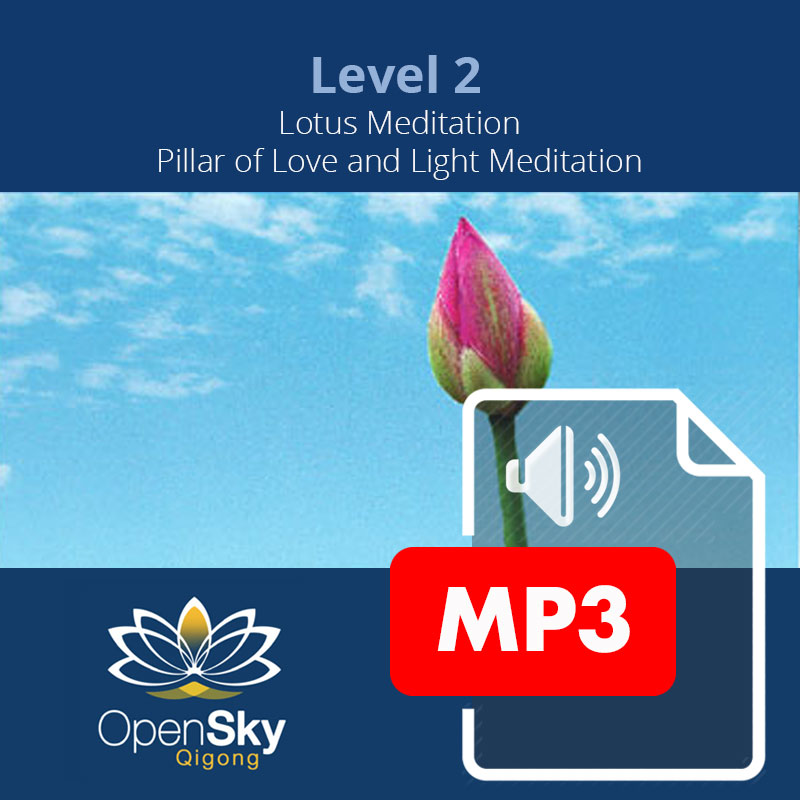 Qigong CD 4