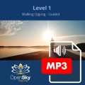 QIgong CD 6