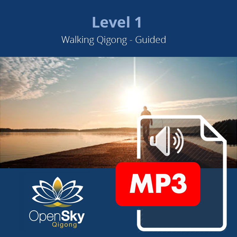 QIgong CD 6