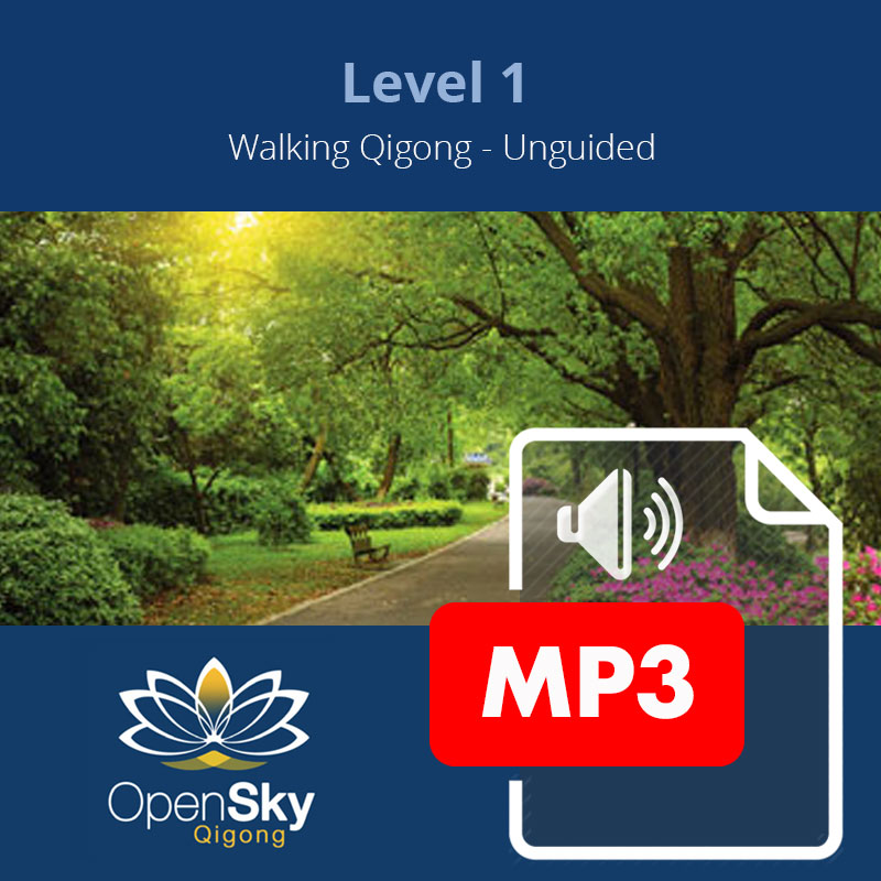 Qigong CD 7