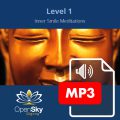 Qigong MP3-8