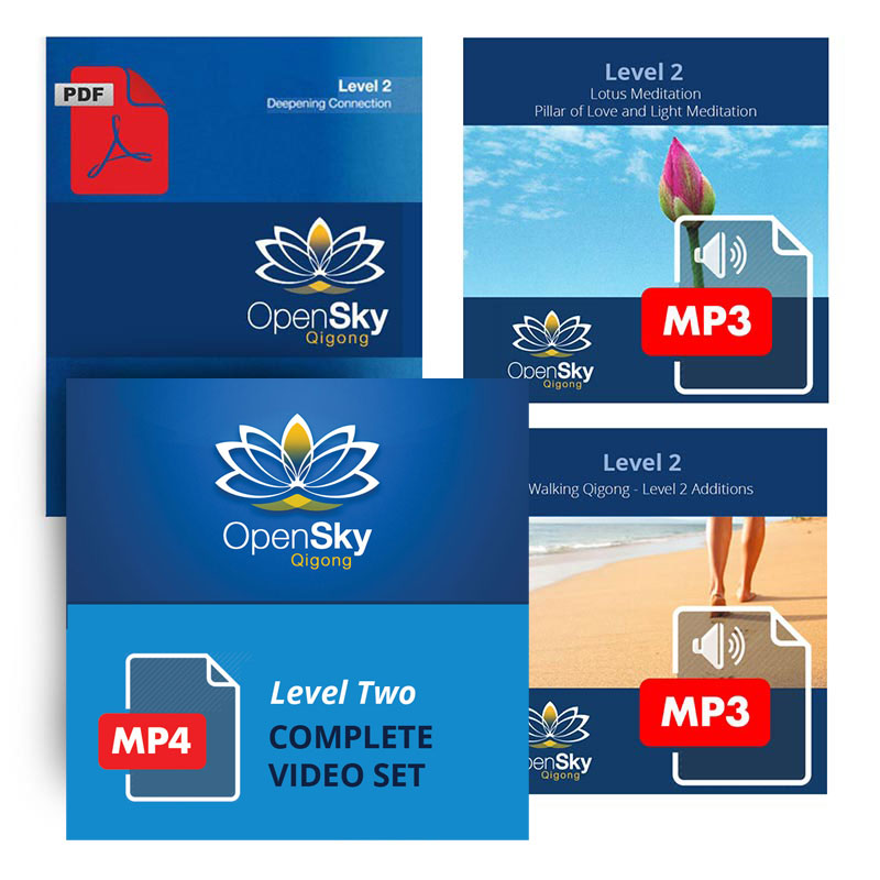 Level 2 Pack